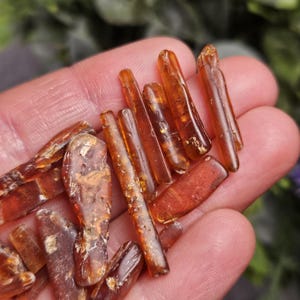 May include: A collection of raw amber pieces, varying in size and shape, held in a hand. The amber has a translucent, golden-brown color, with some pieces appearing more opaque. The pieces are rough and natural, with a slightly glossy sheen.