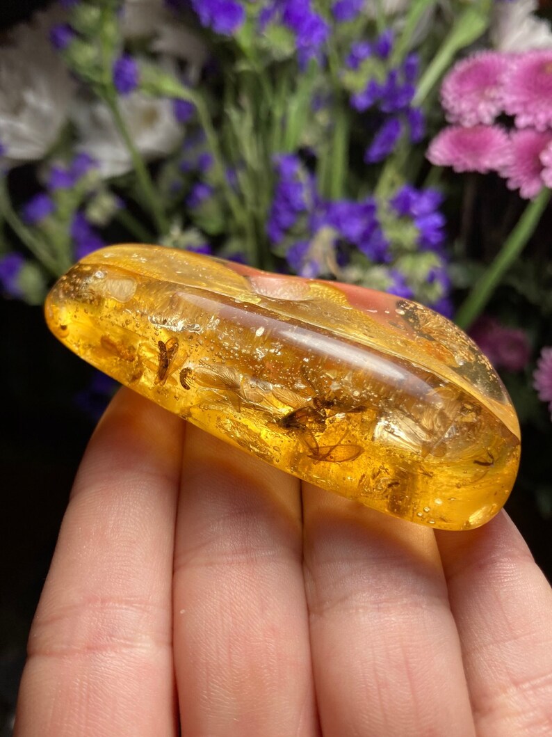 Amber with Bugs / Natural Amber / Amber with Insects / Insect In