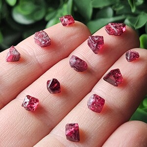 May include: A collection of 11 red, faceted, natural, rough, raw, uncut, unpolished, and unheated red spinel crystals. The crystals are various sizes and shapes, and are displayed on a hand.