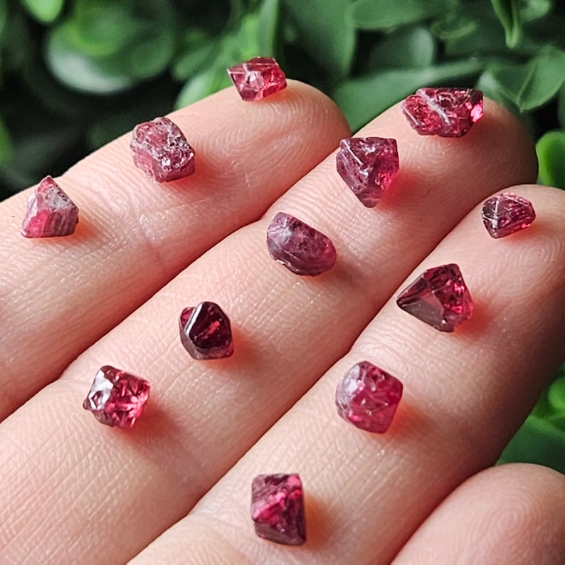 May include: A collection of 11 red, faceted, natural, rough, raw, uncut, unpolished, and unheated red spinel crystals. The crystals are various sizes and shapes, and are displayed on a hand.