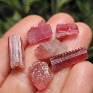 May include: A collection of raw, pink tourmaline crystals in varying shapes and sizes. The crystals range in color from light pink to deep magenta, with visible striations and natural textures. The gemstones are displayed against a blurred background.