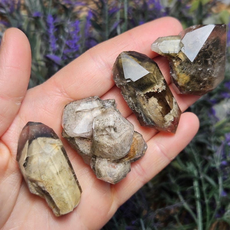 May include: A hand holding several raw, natural smoky quartz crystals. The crystals vary in size and shape, with a range of brown and clear tones. The background is a soft focus of purple flowers.