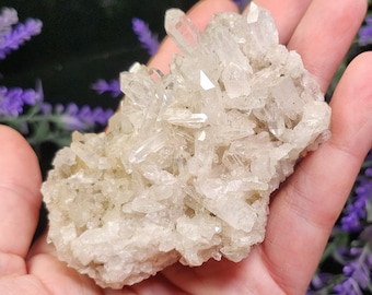 コロンビア産の素晴らしいレムリアンシードクォーツクリスタル - 2.7