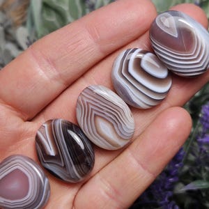 May include: Five smooth, oval-shaped agate stones with brown and white banded patterns. The stones are arranged in a row on a hand.