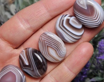May include: Five smooth, oval-shaped agate stones with brown and white banded patterns. The stones are arranged in a row on a hand.