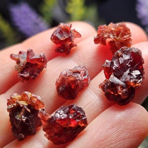 Könnte beinhalten: Nahaufnahme einer Sammlung roher, ungeschliffener Granatkristalle. Die Kristalle haben eine tiefe, rote Farbe und einen funkelnden, durchscheinenden Glanz. Die Edelsteine sind in Gruppen angeordnet und zeigen ihre natürliche, raue Textur. Das Bild hebt die Details der Mineralproben hervor.