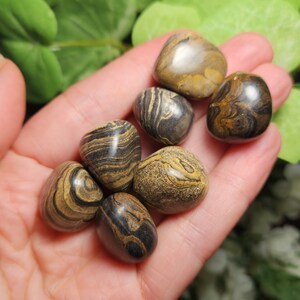 May include: A collection of tumbled stones in shades of brown, tan, and black, held in a hand. The stones have unique patterns and textures, with a polished, smooth surface. The natural gemstones vary in size and shape.