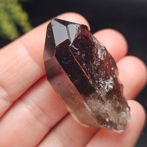Puede incluir: Cristal marr&oacute;n oscuro, facetado y brillante, con una punta pulida y una base rugosa. El color var&iacute;a de un marr&oacute;n muy oscuro en la punta a un marr&oacute;n m&aacute;s claro y transl&uacute;cido en la base. El cristal se sostiene en una mano. Esp&eacute;cimen mineral natural.