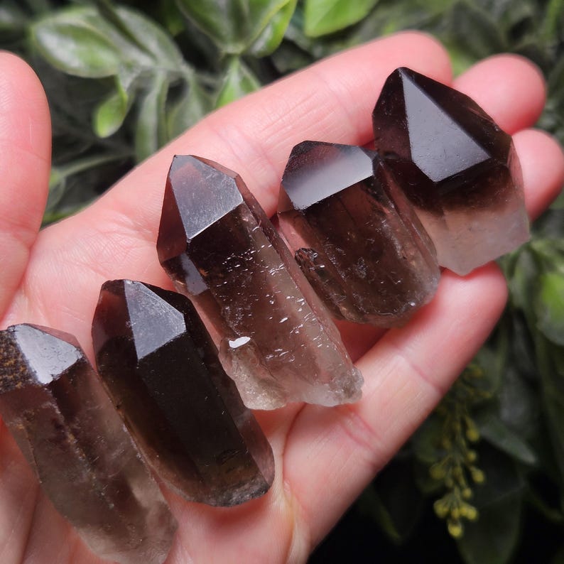 Puede incluir: Cinco puntas de cristal de cuarzo ahumado de varios tama&ntilde;os se sostienen en una mano. Los cristales son de color marr&oacute;n transl&uacute;cido, con un marr&oacute;n m&aacute;s oscuro en las puntas. Los cristales tienen una textura natural y rugosa.