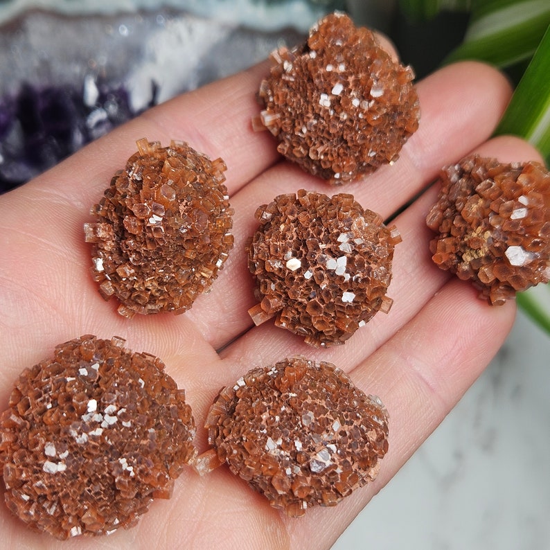 May include: Six small, brown, crystal clusters with a sparkly, iridescent finish. The clusters are arranged in a hand, with the tips of the crystals pointing outwards.