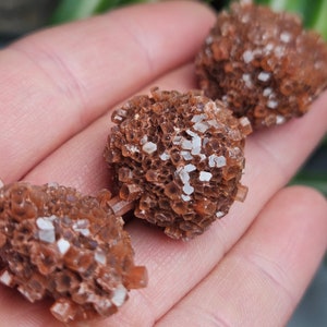 May include: Three brown selenite crystal clusters with a white, sparkly appearance. The crystals are clustered together in a spherical shape.