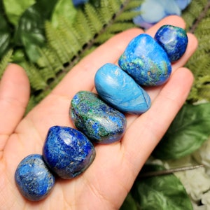 May include: A collection of polished azurite stones in varying shades of blue and green. The stones are smooth and rounded, with natural patterns and textures. The stones are held in an open hand against a backdrop of green foliage.