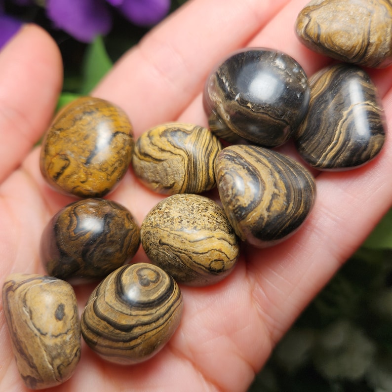 May include: A collection of polished tumbled stones in shades of brown, black, and gold. The stones have unique patterns and textures, with a smooth, rounded shape. The stones are held in a hand, showcasing their natural beauty.