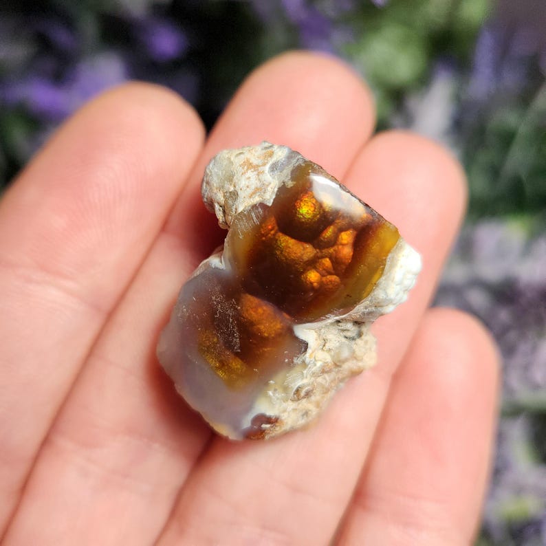 May include: A close-up of a brown and white agate with iridescent orange and yellow colors. The agate is rough and has a natural, unpolished finish.