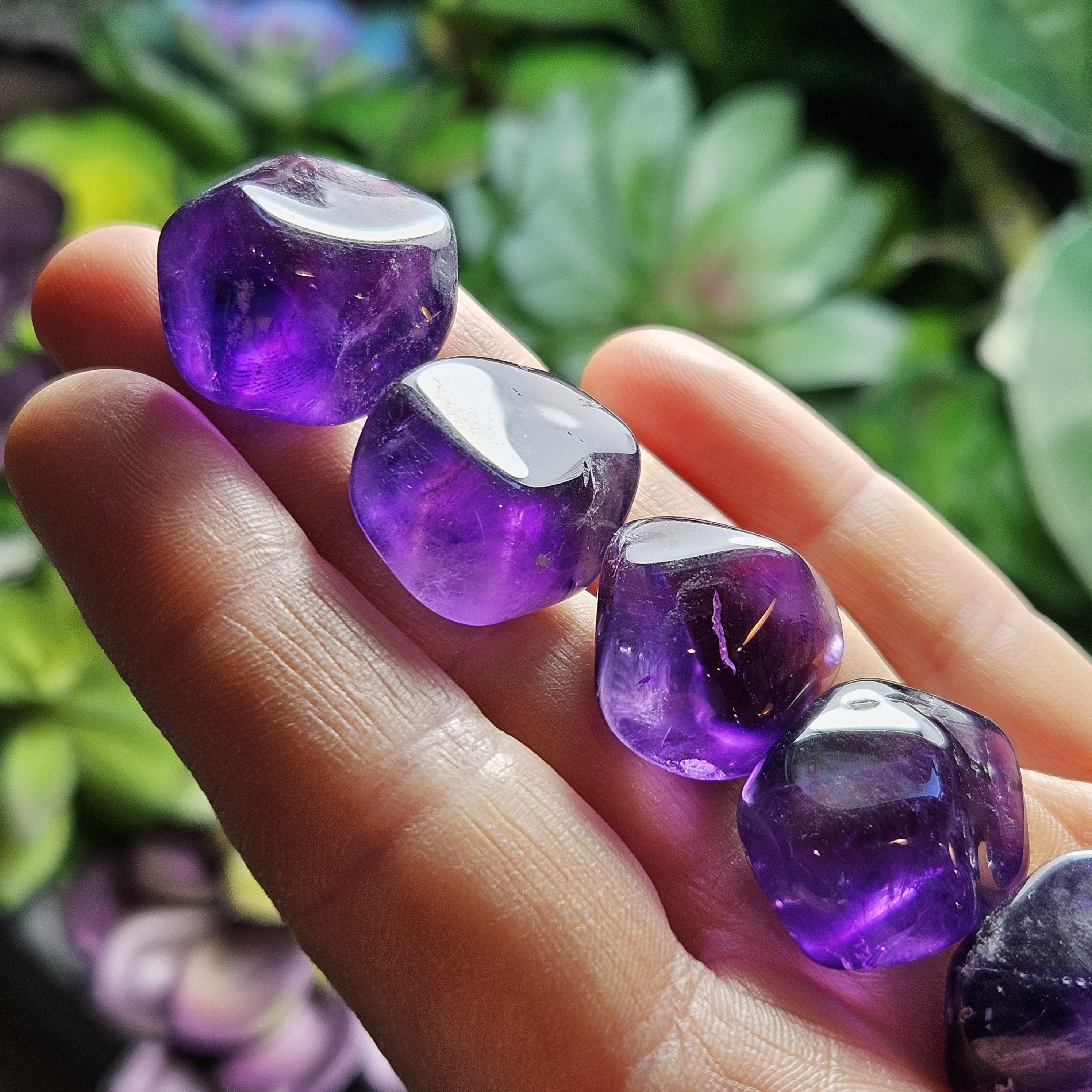 amethystiumアメジスティウム4枚アンビエント・ニューエイジ・チルアウト amethystiumアメジスティウム4枚アンビエント・ニューエイジ