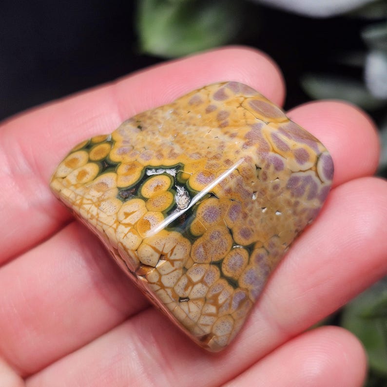 May include: A polished, natural stone with a unique pattern. The stone features a mix of colors, including tan, yellow, green, and purple, creating a mosaic-like appearance. The stone is held in a hand, showcasing its size and texture.