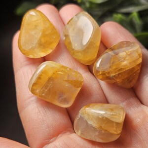 Golden Healer Quartz Crystal, Choose Your Quantity - Yellow Hematoid Quartz from Madagascar, Gold Healer Crystal image 11