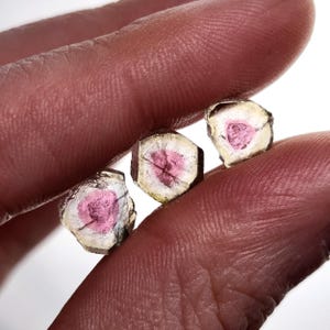 May include: Three small, raw watermelon tourmaline crystal slices featuring a vibrant pink centre surrounded by a translucent, pale green outer ring. Each piece has a distinct hexagonal shape with natural, rough edges and visible internal fractures.