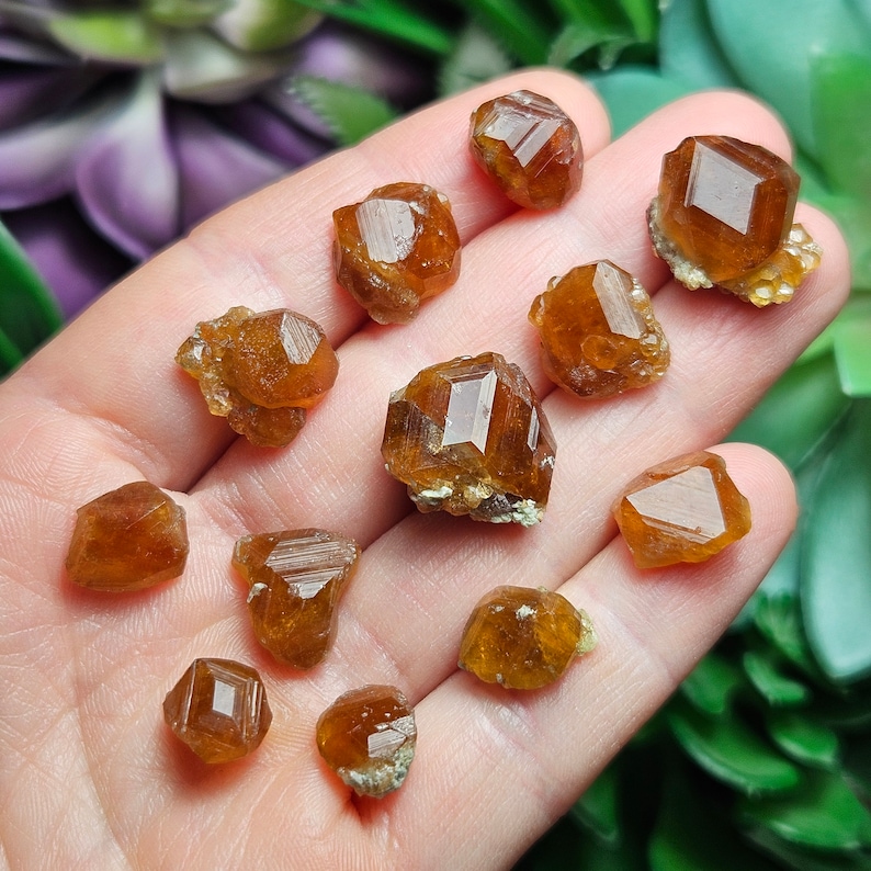 May include: A collection of raw, orange-brown garnet crystals, each with a distinct geometric shape. The crystals vary in size and are displayed on a hand, showcasing their natural beauty and mineral structure. The crystals are a rich, earthy color.