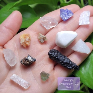 Puede incluir: Una colecci&oacute;n de doce cristales y piedras en bruto de varias formas y colores, incluyendo transparente, blanco, morado y negro. Los cristales se muestran en una mano, con una etiqueta que dice "Large Synergy 12 Set."