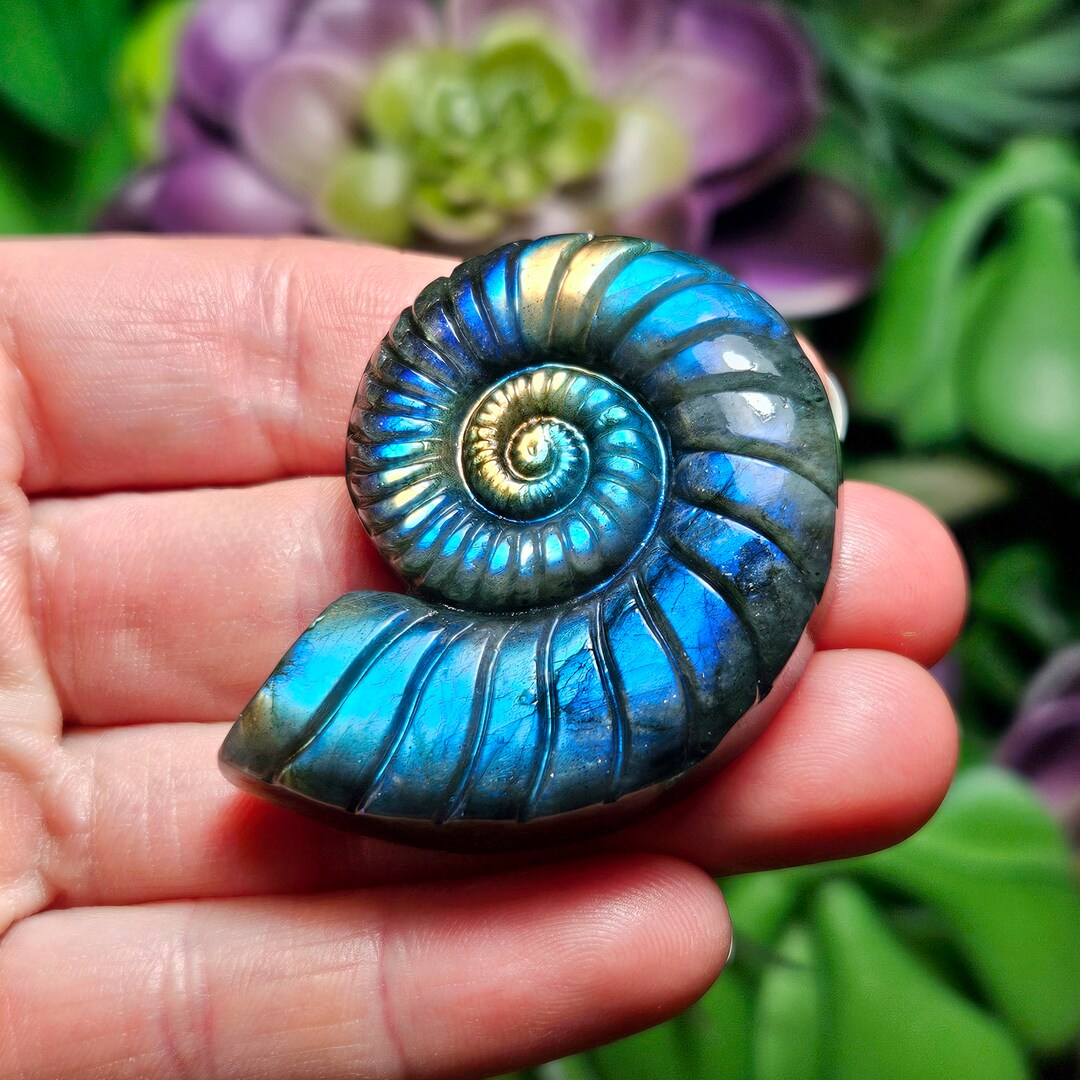 Ammonite Carving - Labradorite Stone - Gemstone Carving - Labradorite ...