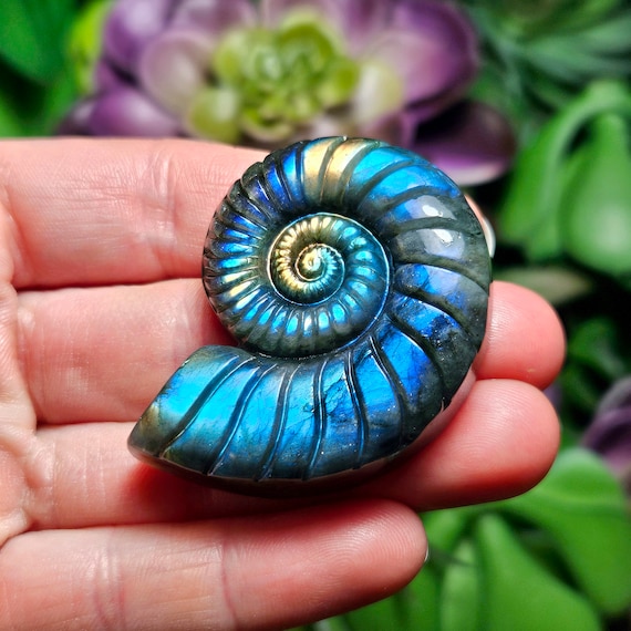 Labradorite Carvings Labradorite Carvings