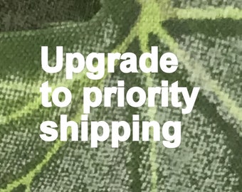 Upgrade to priority from regular shipping