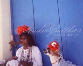 4x6 photo Havana Cuba Woman smoking Cuban Cigar Puppy dog costume, La Habana Cuba, tourism Caribbean blue vivid colors © LeeAnn Gauthier