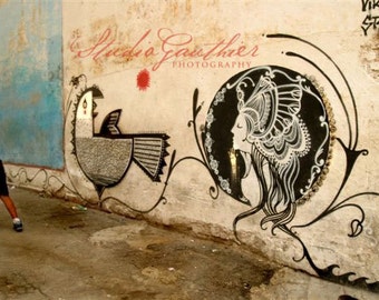 16x20 mounted fine Art PHOTO, Graffiti Havana Cuba, La Habana Vieja, Bird Art, ornithology, Art Nouveau mural, Street Art, street art