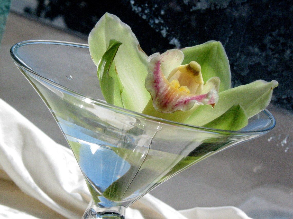 Zen Garden PHOTO Magenta Lily Shower Curtain Pink Lilypads Etsy