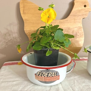 May include: A white enamelware bowl with a red rim, holding a potted plant with yellow flowers and green leaves. The bowl has a handle and a "FEDERAL VOGUE ENAMELED WARE" sticker. A wooden chicken-shaped cutting board is in the background.