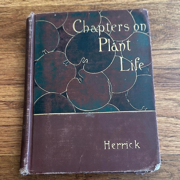 Antique Illustrated Book: Plant Life 1885, Victorian Botany