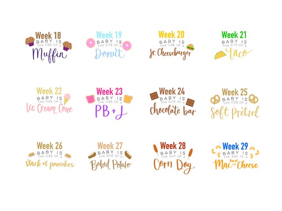 Details Of Pregnancy Week By Week Chart