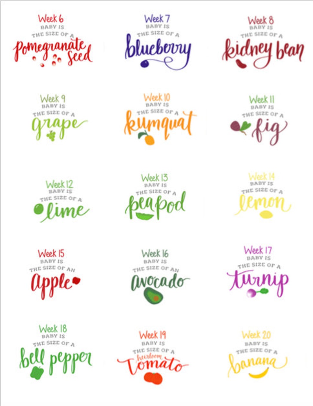 printable-pregnancy-week-by-week-signs-corresponding-fruits-and-veggies-fruit-and-veggies-chart-printable-signs-etsy