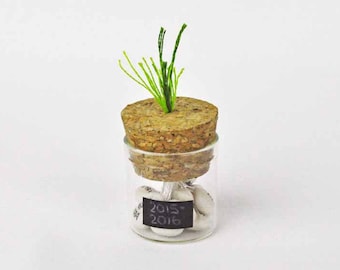 Personalized Sprout Jar, with up to 15 names