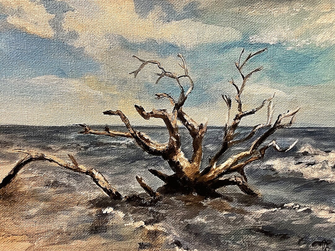 Print of Driftwood Beach Jekyll Island Georgia USA - Etsy