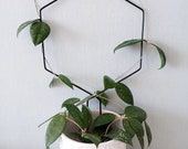 Buy one get one free, Metal Houselant Climbing Support, Climbing Trellis, Climbing Plant Support, Houseplant Accessories Houseplant Trellis