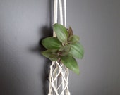 Macrame Plant Hanger, Mini Propagation Station, Boho Style Plants, Plant Propagation, Minimalist Plant Hanger, Plant Hanger, Boho Interior.