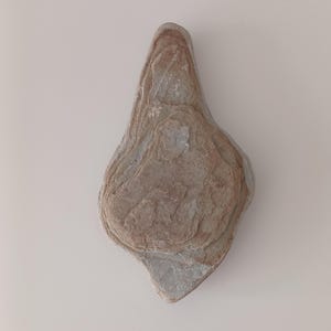 Natural Beach Stone for Terrariums, Aquariums, & Crafts – Unique, Smooth, Weathered Rock for Fish Tanks, Planters and DIY Projects