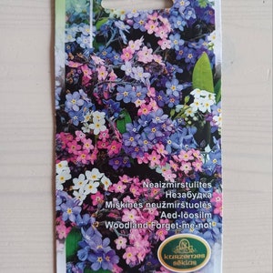 Woodland Vergissmeinnicht-Samen, Myosotis Silvestris, zweijährige Blumen, Vergissmeinnicht-Blumen, Gartenblumen, Gartenblumensamen.