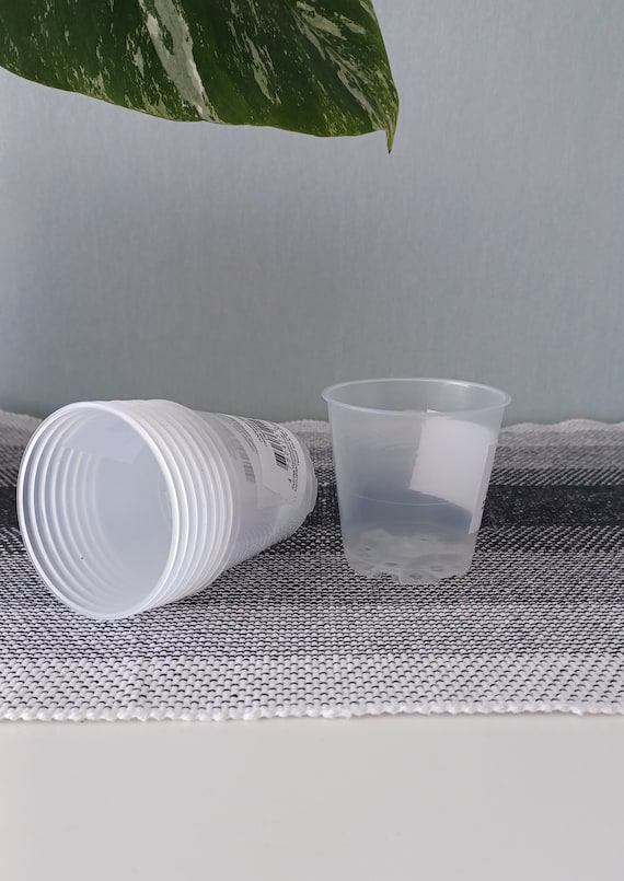 Klare kleine Kunststoff-Pflanztöpfe für Vermehrung & DIY-Gartenarbeit (6 cm) - Transparente Kindergartentöpfe mit Drainage, Bastelzubehör für Pflanzenliebhaber