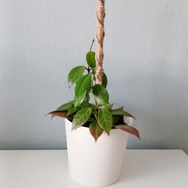 Houseplant Support, Macrame Plant Support, Eco-Friendly Plant Support, Moss Pole Alternative, Plant Accessories.