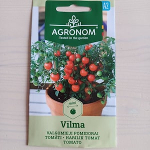 Semi di pomodoro &quot;Vilma&quot;, semi di pomodoro ciliegino, pomodoro nano, pomodori da interno