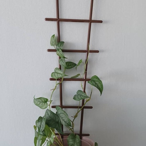 Houselant Climbing Support, Climbing Trellis, Climbing Plant Support, Houseplant Accessories, Plant Trellis, Houseplant Trellis.