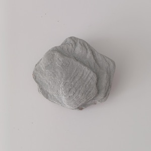 Natural Beach Stone for Terrariums, Aquariums, & Crafts – Unique, Smooth, Weathered Rock for Fish Tanks, Planters and DIY Projects