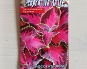Coleus Seeds, Coleus "Chocolate Rose", 5 seeds, Solenostemon mesmerize Decorative Nettle, Easy Houseplant, Coleus Mesmerize, Colourful Plant