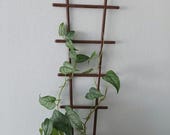Set of Two Houselant Climbing Supports, Climbing Trellis, Climbing Plant Support, Houseplant Accessories, Plant Trellis, Houseplant Trellis.