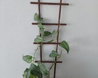 May include: A brown plastic plant trellis with a green leafy plant growing up it. The plant is in a pink pot.