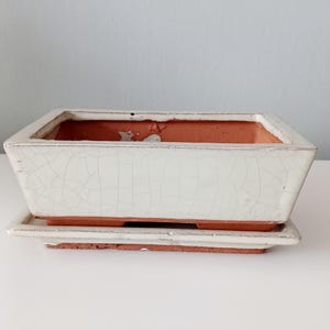 May include: A rectangular bonsai pot with a matching tray. The pot is white with a crackle glaze and a reddish-brown interior. The tray is the same color as the pot. The pot is approximately 25 cm long, 18 cm wide, and 8 cm tall.
