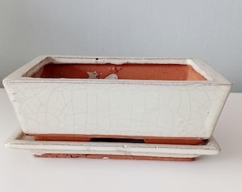 Maceta y plato para bonsái, maceta rectangular poco profunda, maceta de barro para bonsáis y suculentas, arreglos de suculentas, maceta rústica